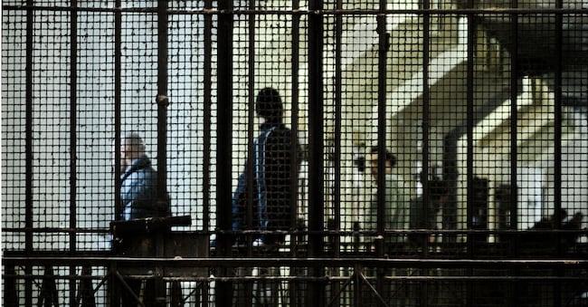 CARCERE REGINA COELI DETENUTI AMMINISTRAZIONE PENITENZIARIA RECLUSIONE ARRESTO POLIZIA PENITENZIARIA SEZIONE DETENZIONE