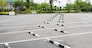 Car parking lot