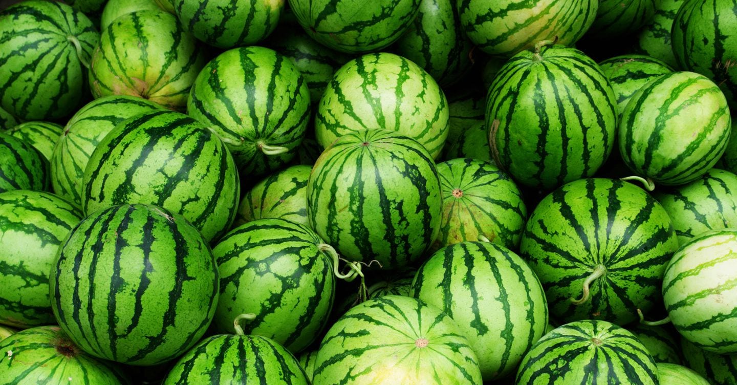 https://i2.res.24o.it/images2010/S24/Documenti/2025/07/26/Immagini/Ritagli/AdobeStock_7425002-U34738000430NsP-1440x752@IlSole24Ore-Web.jpeg