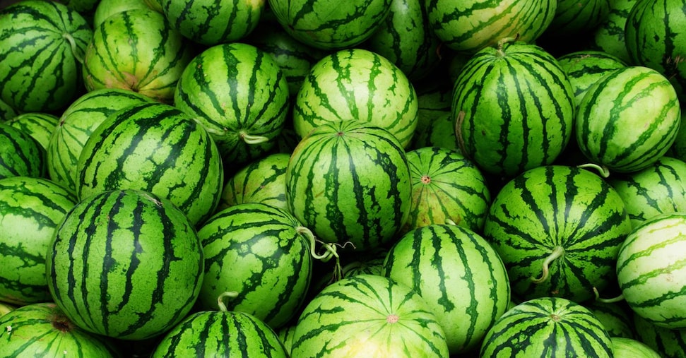 Dai meloni alle angurie, prezzi giù fino al 9%: è l’effetto del caldo