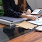  Auditor.