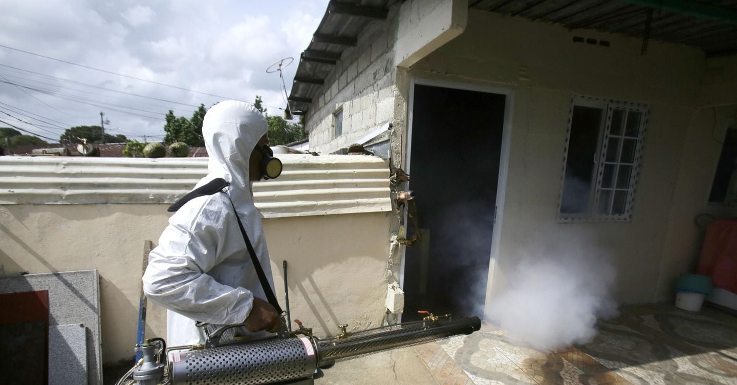 Virus e zanzare: origine e differenze di Dengue, Chikungunya e West Nile