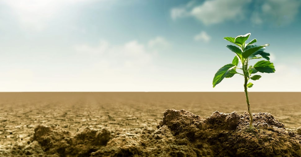 Allarme degli agricoltori: il parlamento blocca la sperimentazione delle coltivazioni resistenti agli shock climatici