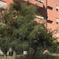immagine non disponibile
