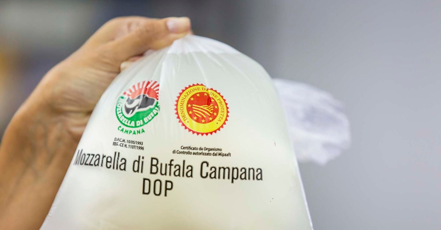https://i2.res.24o.it/images2010/S24/Documenti/2025/08/05/Immagini/Ritagli/bufala-mozzarella-4S5A0345-U86877368473ZOZ-1440x752@IlSole24Ore-Web.jpg