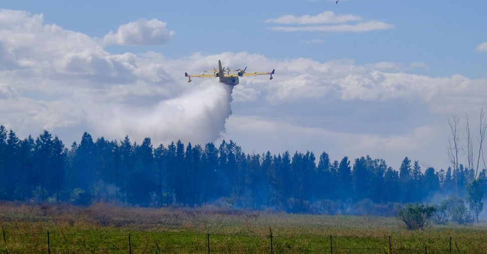 Allarme Incendi in Italia: Oltre 700 Solo Quest'Anno! Guida Essenziale per Proteggere la Tua Salute