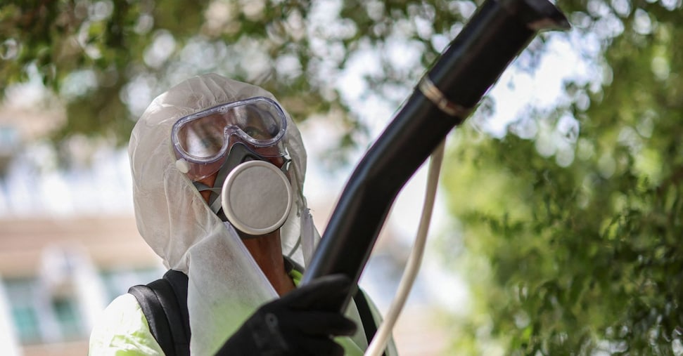Chikungunya, primo caso autoctono in Veneto: cosa è la malattia che “contorce”