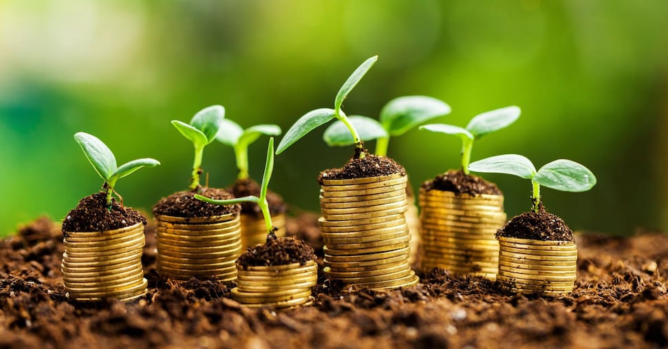 Rendiconti di sostenibilità, due anni in più per le imprese