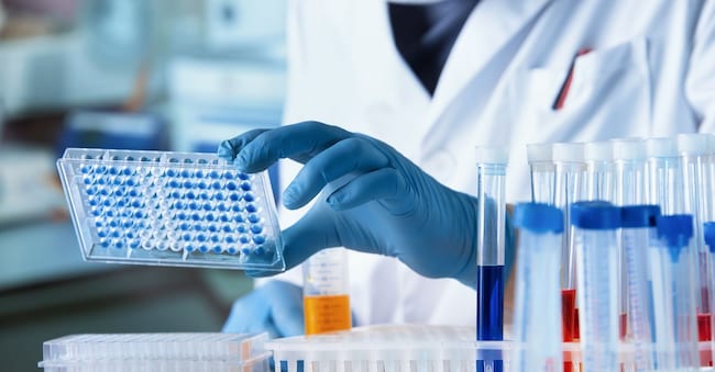 Researcher working with microplate panel for diseases diagnosis in the laboratory. Doctor working with microplate for elisa analysis