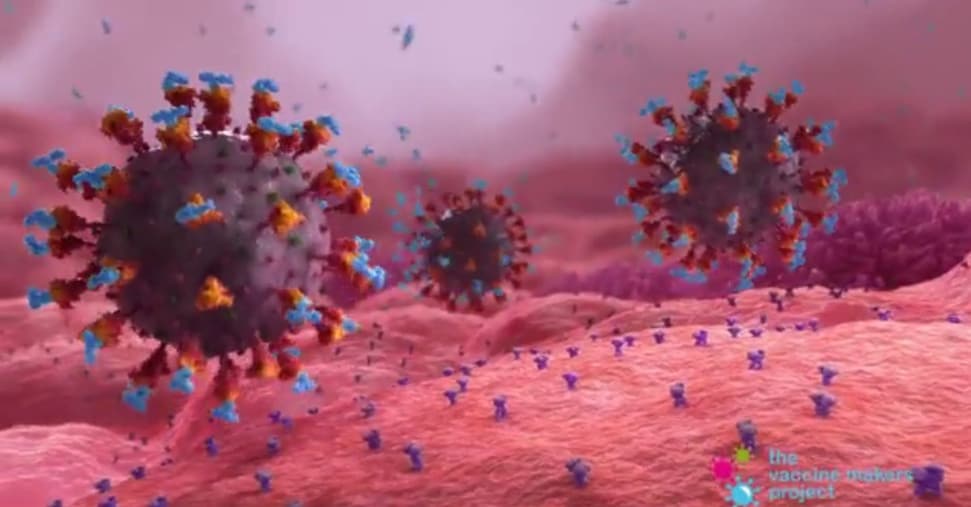 Vaccini, dallo stop Usa ai «no vax»: così gli eredi di Piero Angela rimettono al centro la scienza