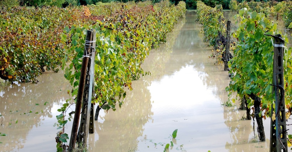 Dalle ondate di calore alla qualità dell’aria: l’allerta arriverà con il digitale «su misura»