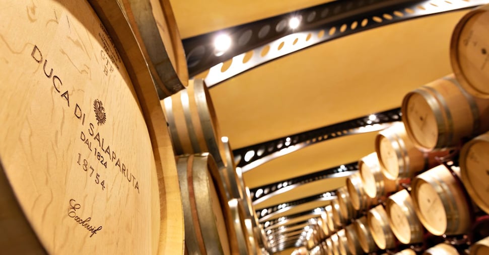 Il vino siciliano si reinventa: nuovi modelli per vincere sui mercati Il vino siciliano si reinventa: nuovi modelli per vincere sui mercati
