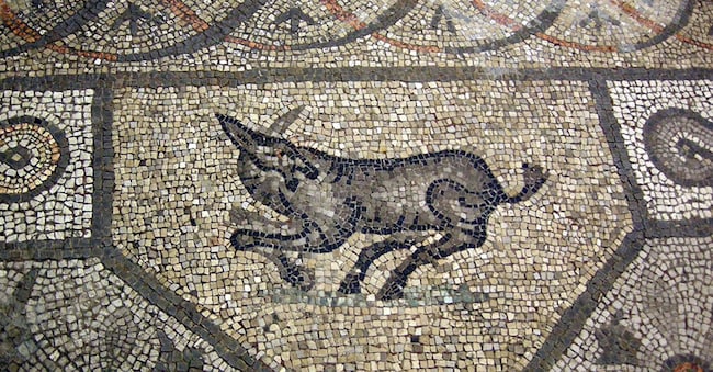 Aquileia, tra i mosaici dell’Aula Nord della Basilica c’è anche un asino