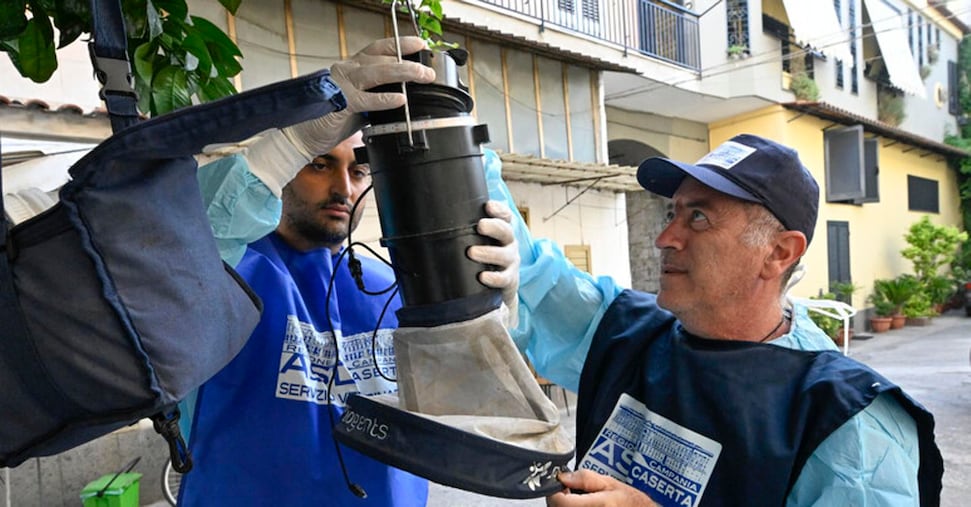 Ecdc: Italia più colpita da West Nile, 80% dei casi europei