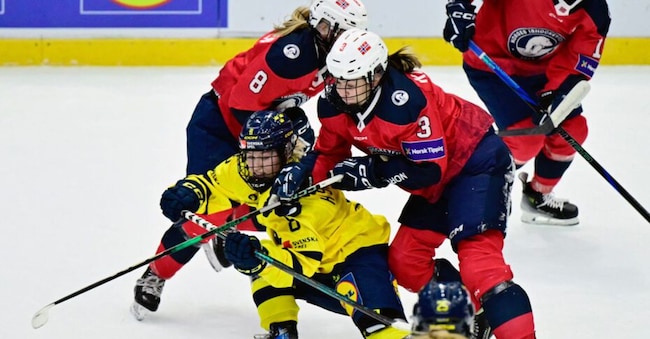  (Photo by Magnus LEJHALL / TT NEWS AGENCY / AFP) / Sweden OUT