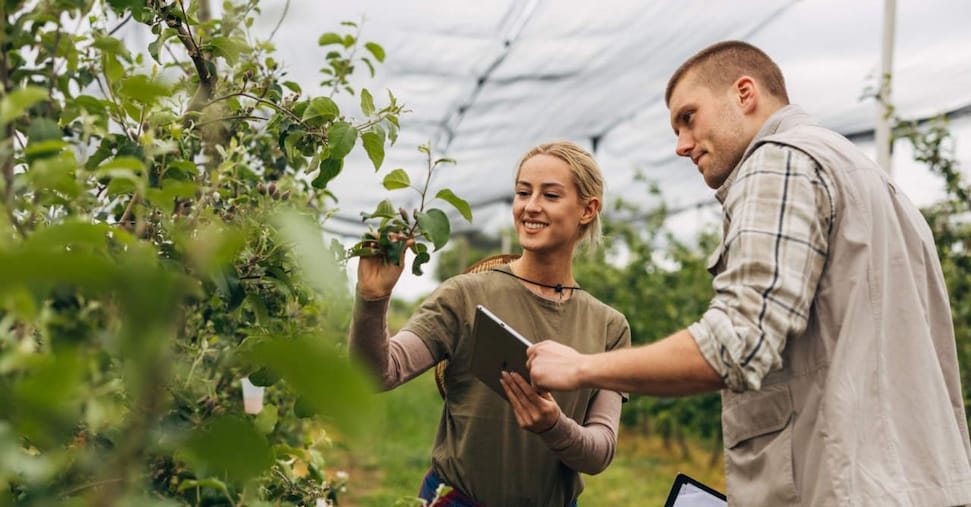 Al via il bonus agricoltori per la formazione degli under 41