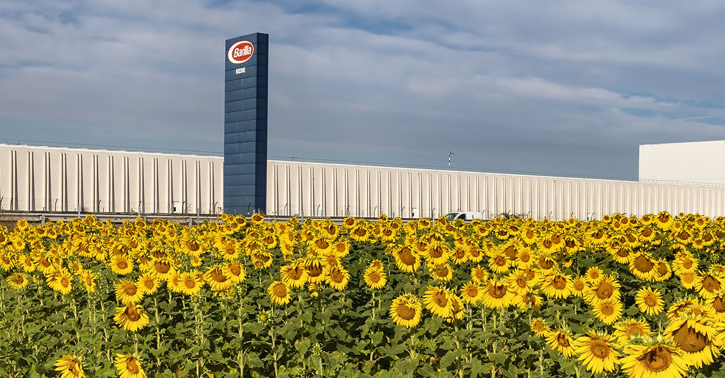 https://i2.res.24o.it/images2010/S24/Documenti/2025/08/29/Immagini/Ritagli/8.%20Primi%20girasoli%20in%20fiore%20nell'agriBosco%20Barilla-U10207762046CnD-1440x752@IlSole24Ore-Web.jpg