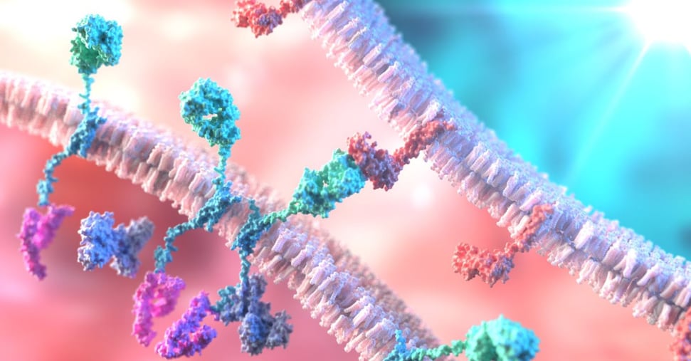 Car-T italiane aprono la strada a cure standard per il neuroblastoma Car-T italiane aprono la strada a cure standard per il neuroblastoma