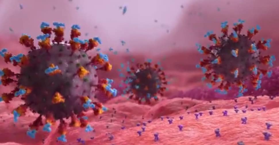 Trump alle farmaceutiche: «Giustificate il successo dei vaccini contro il Covid»