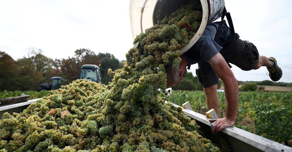 Accordo UE-Mercosur, export europeo in crescita e salvaguardie agricole
