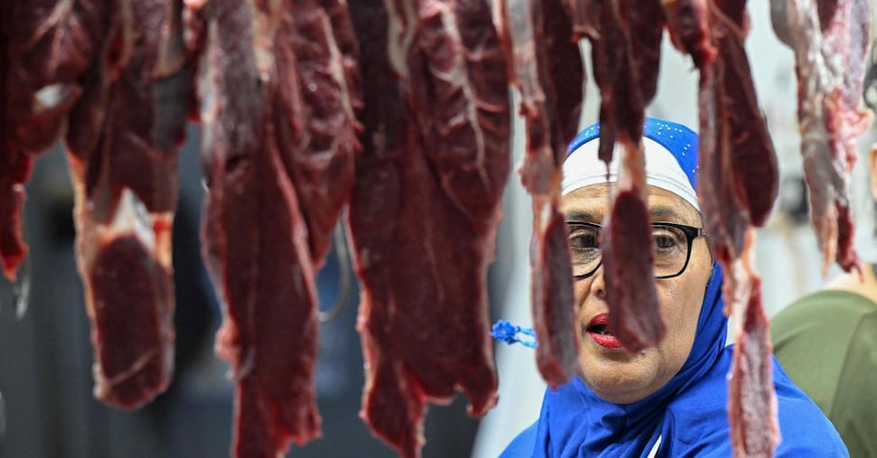 Pechino impone dazi fino al 62% sull’import di carne di maiale Ue Pechino impone dazi fino al 62% sull’import di carne di maiale Ue