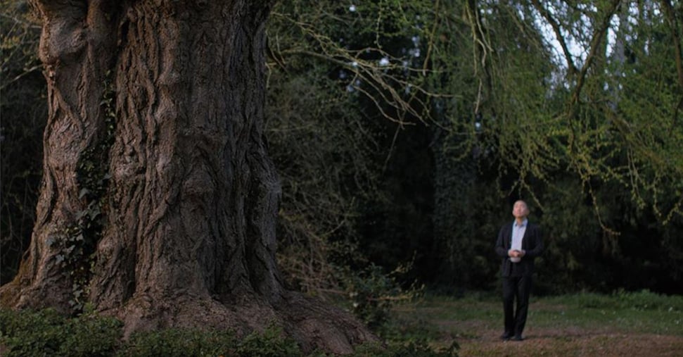 “Silent Friend”, un albero osserva l’esistenza umana in tre epoche diverse “Silent Friend”, un albero osserva l’esistenza umana in tre epoche diverse