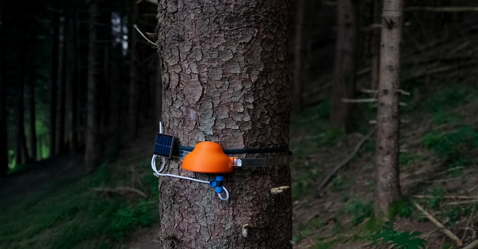 Dalle foreste alla cura dell’asma: ecco le eccellenze italiane al James Dyson Award 2025 Dalle foreste alla cura dell’asma: ecco le eccellenze italiane al James Dyson Award 2025