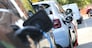 COLONNINE PER LA RICARICA DELLE AUTO ELETTRICHE, COLONNINA, RICARICHE, STAZIONI, AUTOMOBLIE ELETTRICA