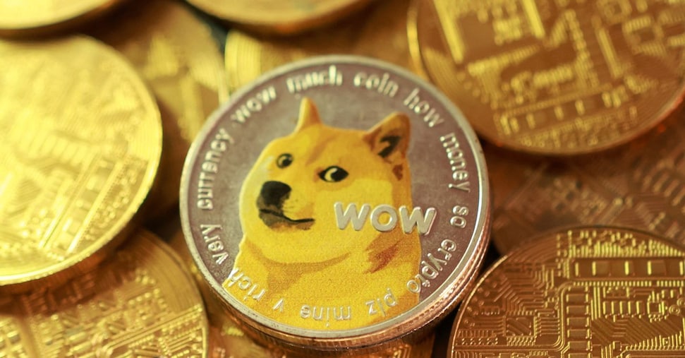 Dogecoin diventa azionista principale della Triestina calcio