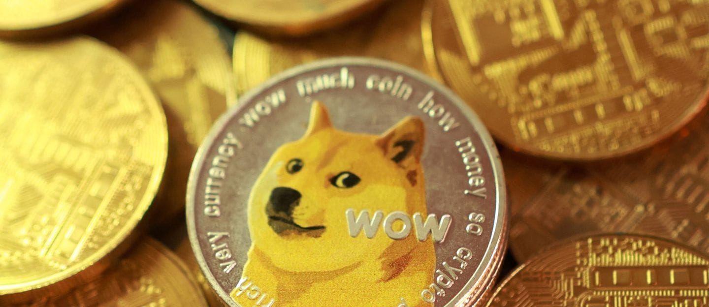 Triestina calcio in the hands of the cryptocurrency dear to Elon Musk:  Dogecoin Foundation is first shareholder - Il Sole 24 ORE