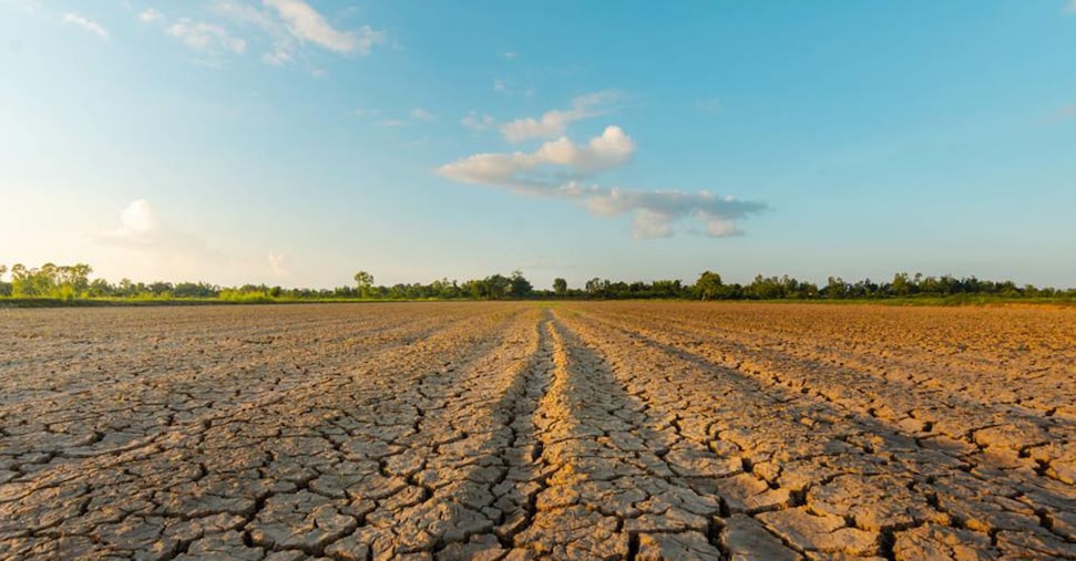 Siccità, 35 milioni di ristori per le aziende agricole danneggiate Siccità, 35 milioni di ristori per le aziende agricole danneggiate