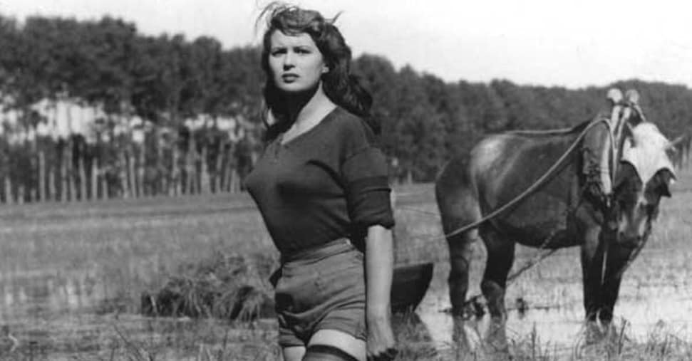 Dalle mondine alle macchine: storia della cascina dove fu girato “Riso Amaro”