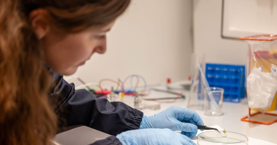 Agricoltura, l’idrogel che fa crescere piante a impatto zero. Il progetto dell’università di Bolzano e l’Iit di Genova Agricoltura, l’idrogel che fa crescere piante a impatto zero. Il progetto dell’università di Bolzano e l’Iit di Genova