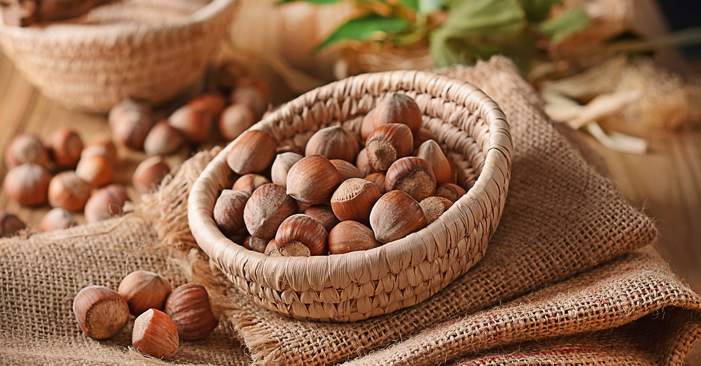 https://i2.res.24o.it/images2010/S24/Documenti/2025/09/26/Immagini/Ritagli/nocciole-AdobeStock_142831303-U14528601083bNu-1440x752@IlSole24Ore-Web.jpg