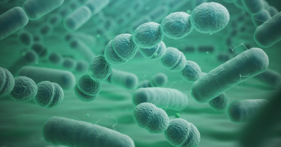 Super batteri uccidono più di influenza, Aids e Tbc insieme. Ecco le terapie allo studio per fermarli