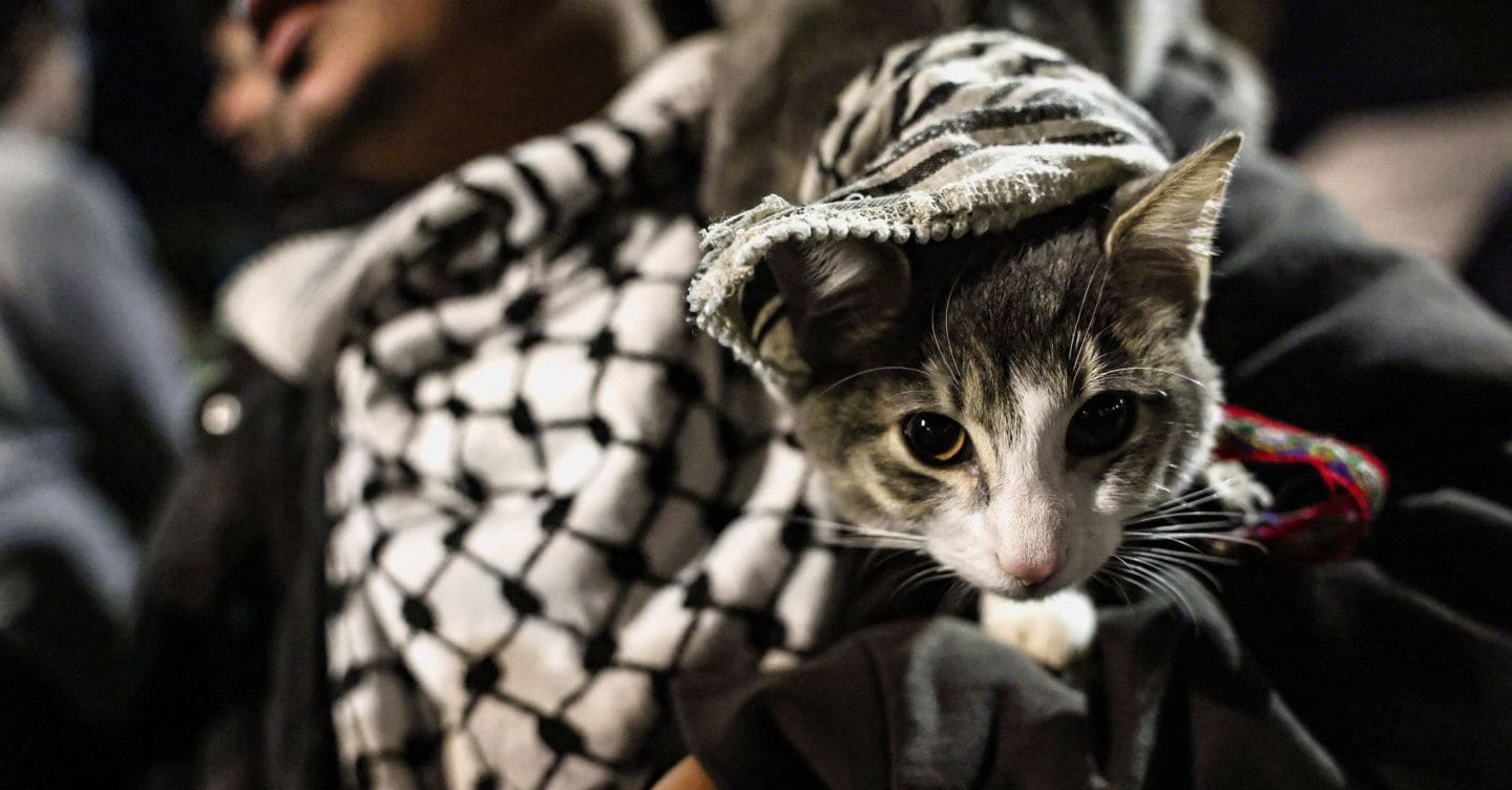 «Luci sulla Palestina»: 20mila operatori di 230 ospedali d’Italia ricordano i 1.677 colleghi uccisi a Gaza