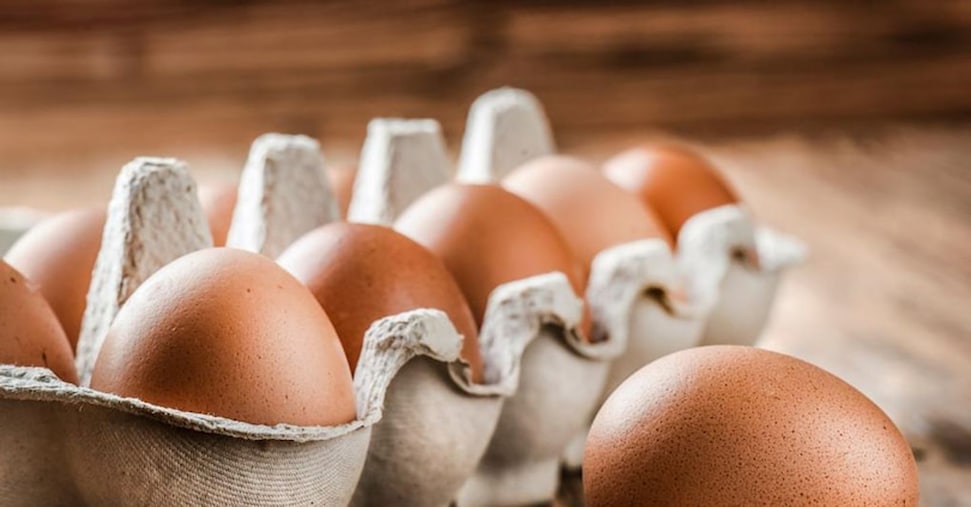 Salmonella, ritirato dal mercato un lotto di uova del marchio Montanari Salmonella, ritirato dal mercato un lotto di uova del marchio Montanari
