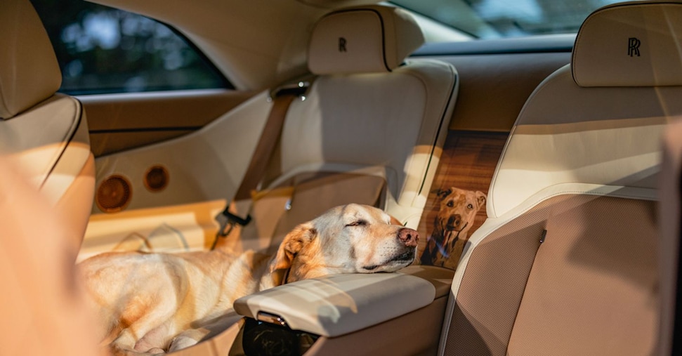 Rolls-Royce Bailey, la regina delle auto dedicata a un cane molto amato Rolls-Royce Bailey, la regina delle auto dedicata a un cane molto amato