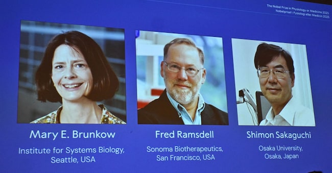I vincitori del premio Nobel per la medicina 2025