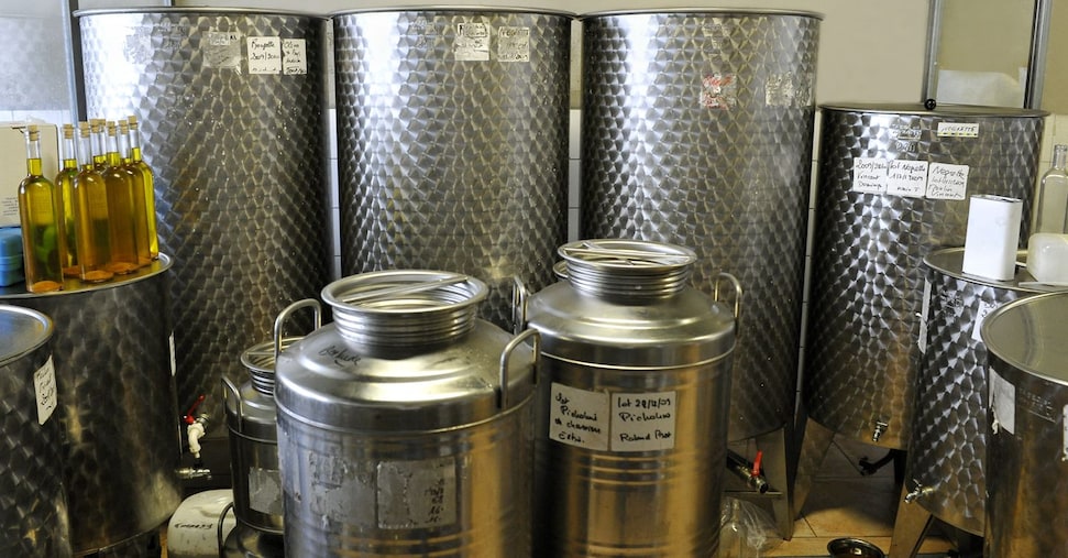 Unaprol accusa: veto della Spagna sull’olio extravergine di coratina made in Italy