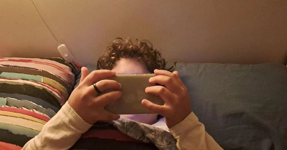 Vietati Facebook, TikTok, Instagram e WhatsApp fino a 14 anni, ecco la stretta della Lega sui social Vietati Facebook, TikTok, Instagram e WhatsApp fino a 14 anni, ecco la stretta della Lega sui social