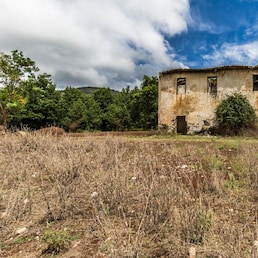 Pasquale D’Anna - stock.adobe.com