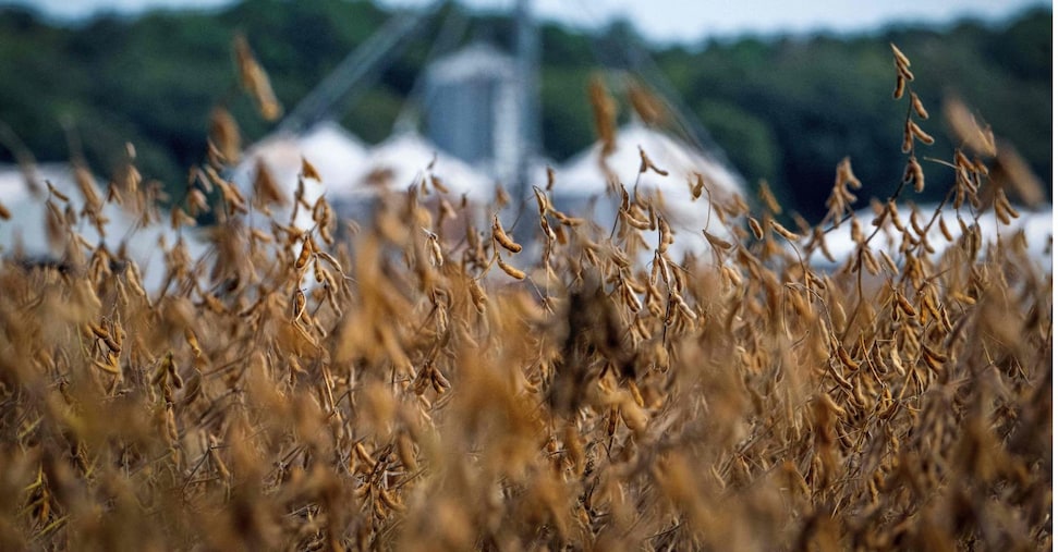 Dazi: negli Usa piano da 10-15 miliardi per risarcire gli agricoltori