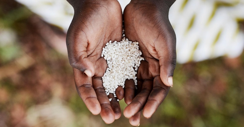 Resilienza agricola e tecnologia per la sicurezza alimentare