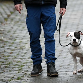 Foto IPP/ Uwe Zucchi/DPA via ZUMA Press - Italy Photo Press -