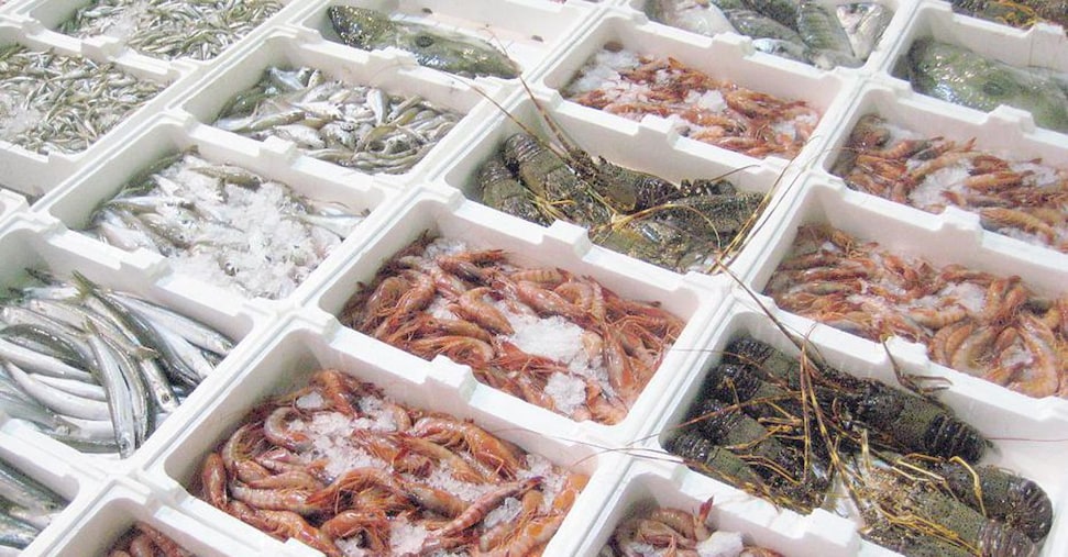 Senza ricambio generazionale la pesca rischia di affondare. Rischio pesanti tagli dalla Pac