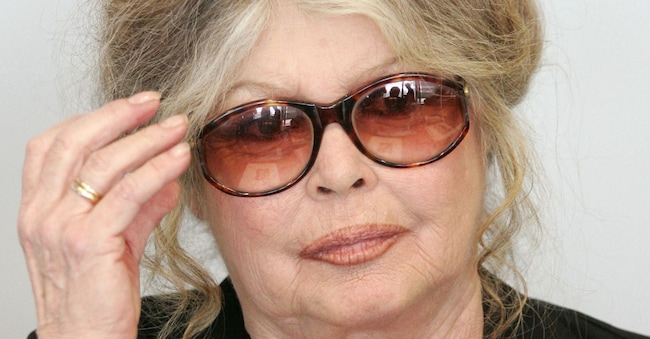  Brigitte Bardot, ex star del cinema francese diventata attivista per i diritti degli animali, presso la sede della Commissione europea a Bruxelles, 9 giugno 2006.    REUTERS/Francois Lenoir/Foto d'archivio