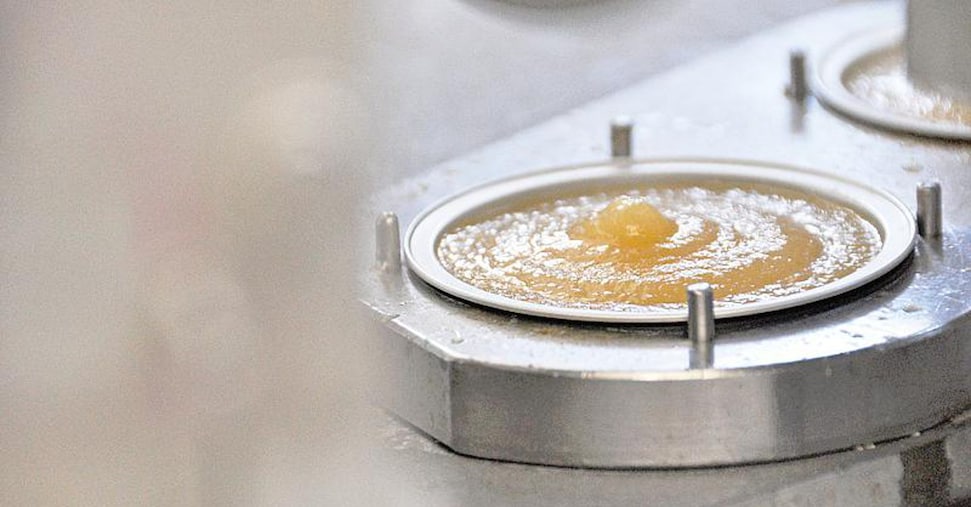 Frutta, vaschette e pouch di polpa al cucchiaio consumate dal 40% delle famiglie