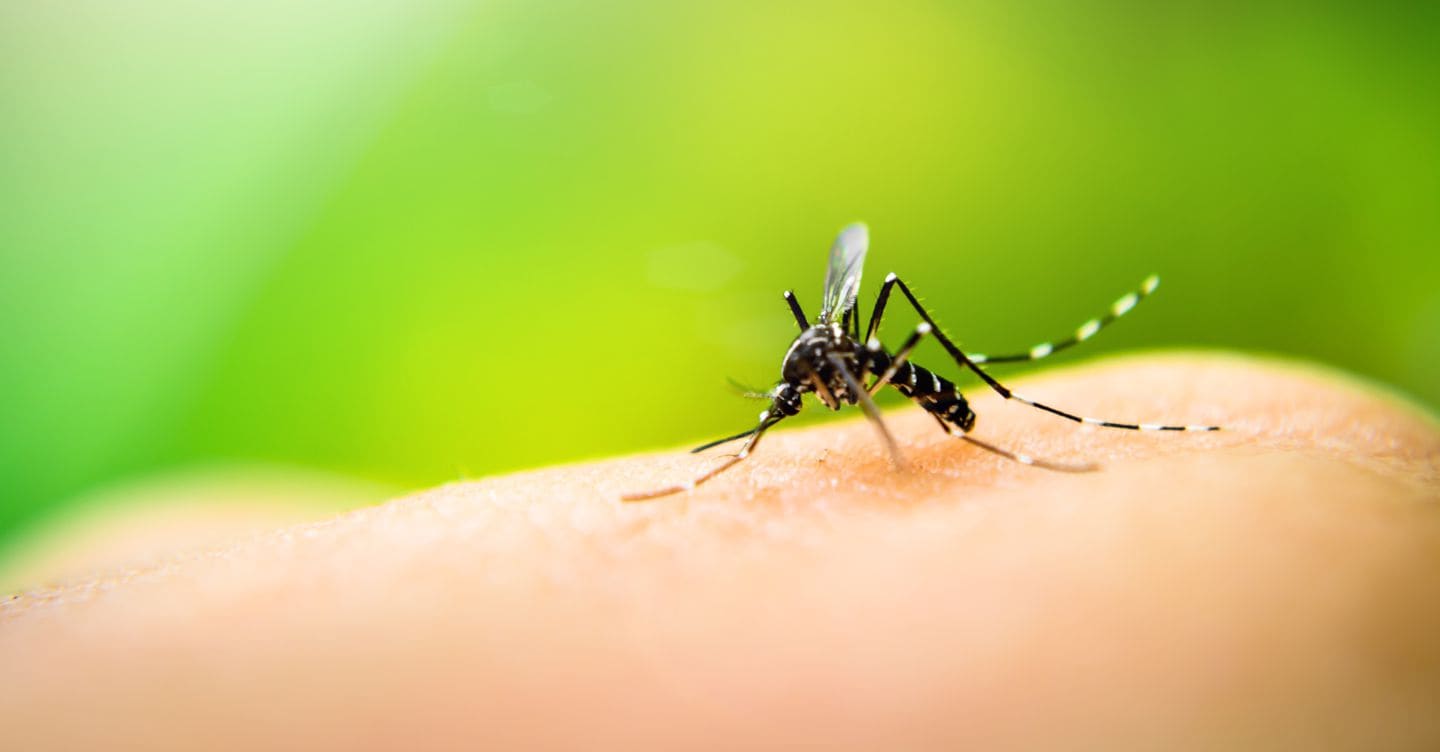 https://i2.res.24o.it/images2010/S24/Documenti/2025/10/21/Immagini/Ritagli/AdobeStock_69881850-U21426458306vuw-1440x752@IlSole24Ore-Web.jpeg