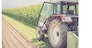 Tractor on an agriculture field, cut out
